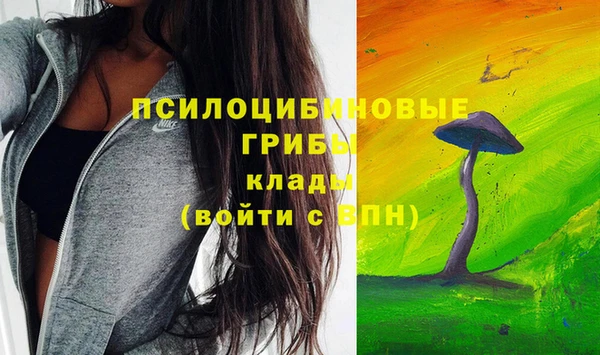 прущая мука Богородск