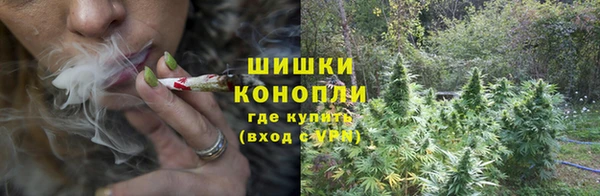 бутират Богородицк
