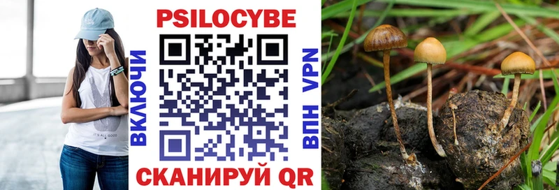 как найти наркотики  Няндома  MEGA вход  Галлюциногенные грибы Psilocybe 